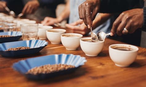 Coffee Tasting Workshop